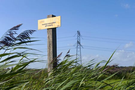 Riesjard Schropp: hoogspanning landschap flevopolder 1