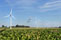 windenergie_Espel