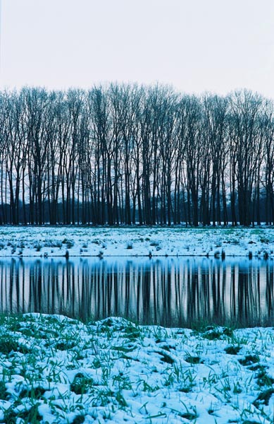 Riesjard Schropp: Poosplaatsen