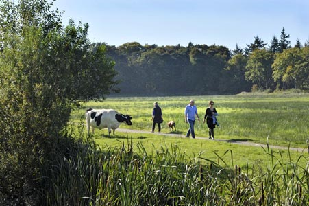 Riesjard Schropp: Recreatie landschap wandelen