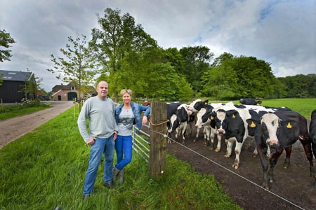 Riesjard Schropp: veeteelt landschap portret