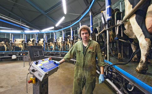 Riesjard Schropp: veeteelt melk portret