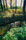 natuur_ontwikkeling_bos_water